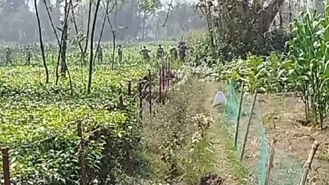 সীমান্তে বিজিবির বাধায় ফিরে গেল বিএসএফ...