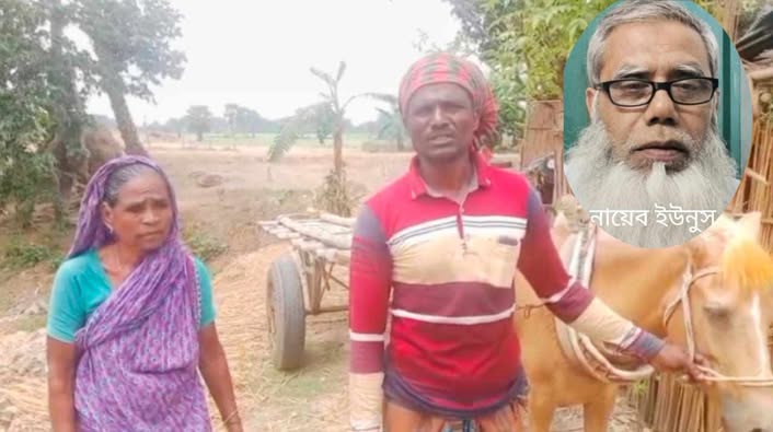 লোহাগড়ায় ভিটেমাটি হারানো কষ্টে মা-ছেলের আকুতি: নায...