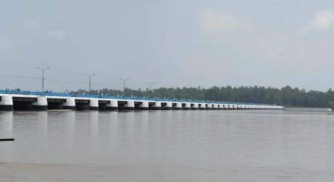 তিস্তায় হঠাৎ পানি বৃদ্ধি,  কৃষকের মুখে হাসি...