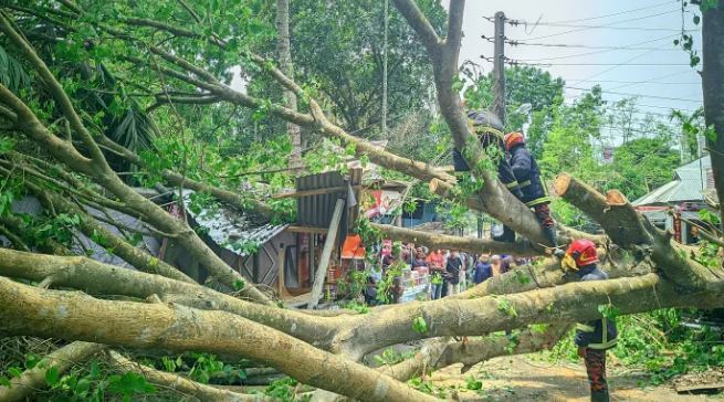 রংপুরে কালবৈশাখী ঝড়ে বেশকিছু গ্রাম লন্ডভন্ড...