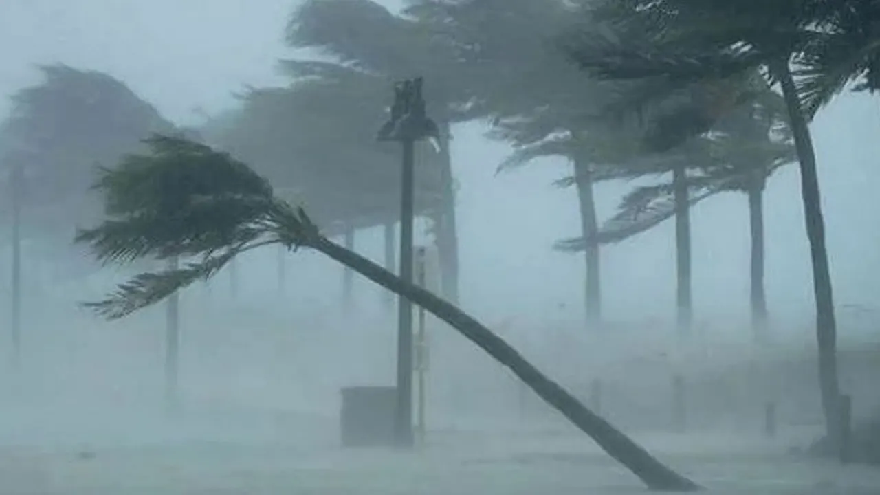 সন্ধ্যার মধ্যে ৮ অঞ্চলে ঝড়ের পূর্বাভাস...