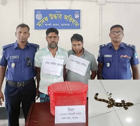 শার্শায় পুলিশি অভিযানে তক্ষকসহ আটক-২...