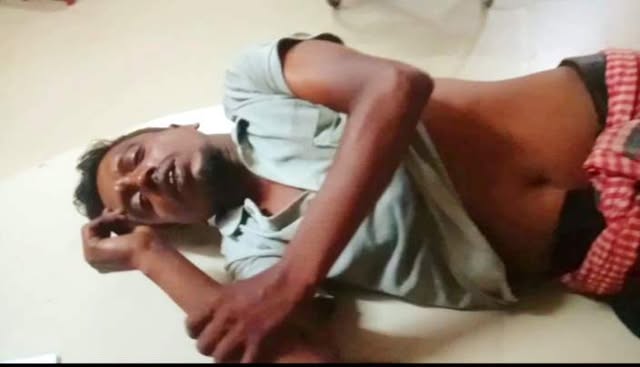 লোহাগড়ায় ভ্যানের চাকার নিচে পড়ে ভেড়ার বাচ্চার ...