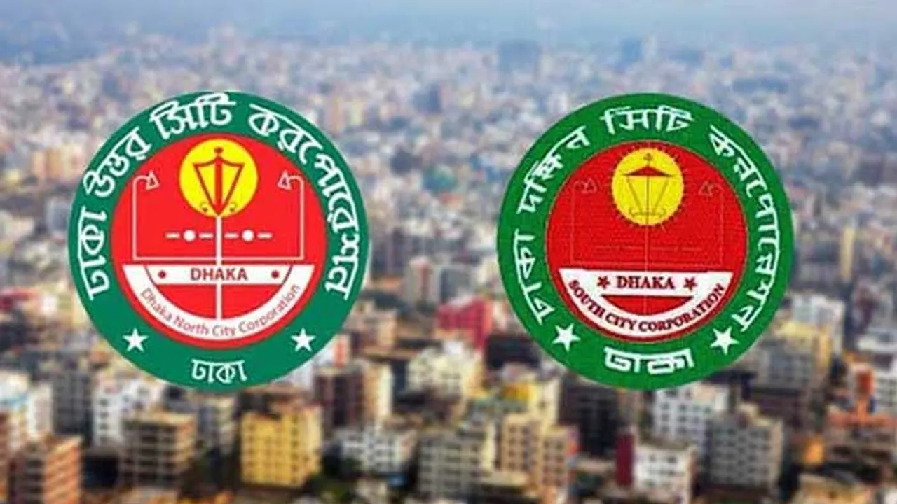 মশা নিধন চোখে পড়ে না, চিকিৎসা নিয়ে কত কিছু!...