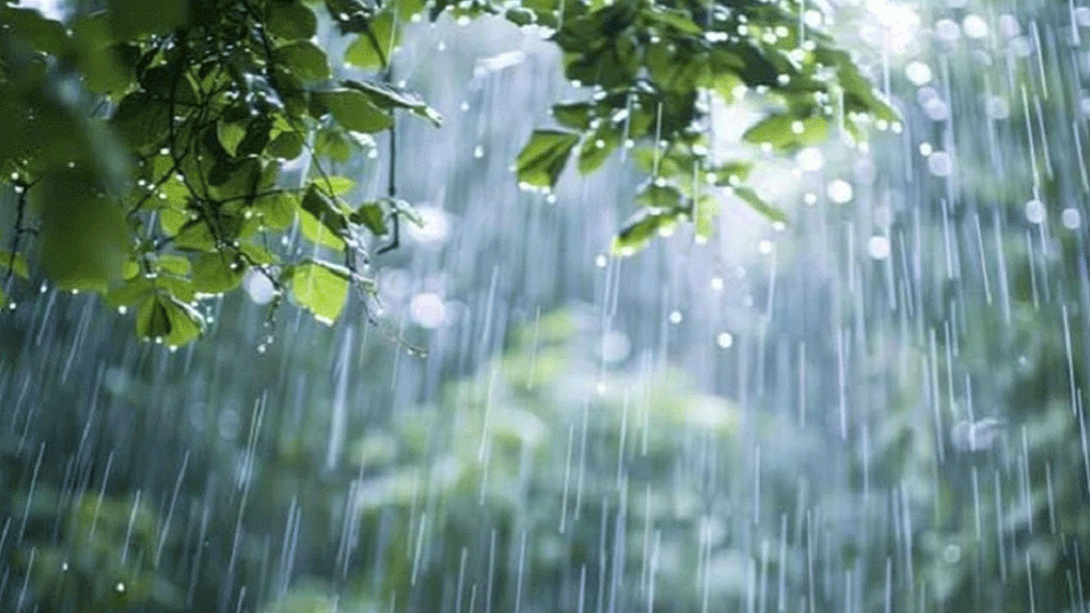 ৫ বিভাগে ভারি বৃষ্টিপাতের সতর্কতা জারি...