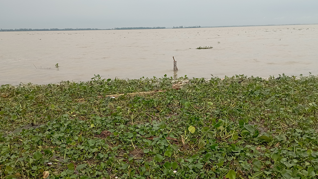 যমুনায় দ্রুত বাড়ছে পানি, প্লাবিত নিম্নভূমি...