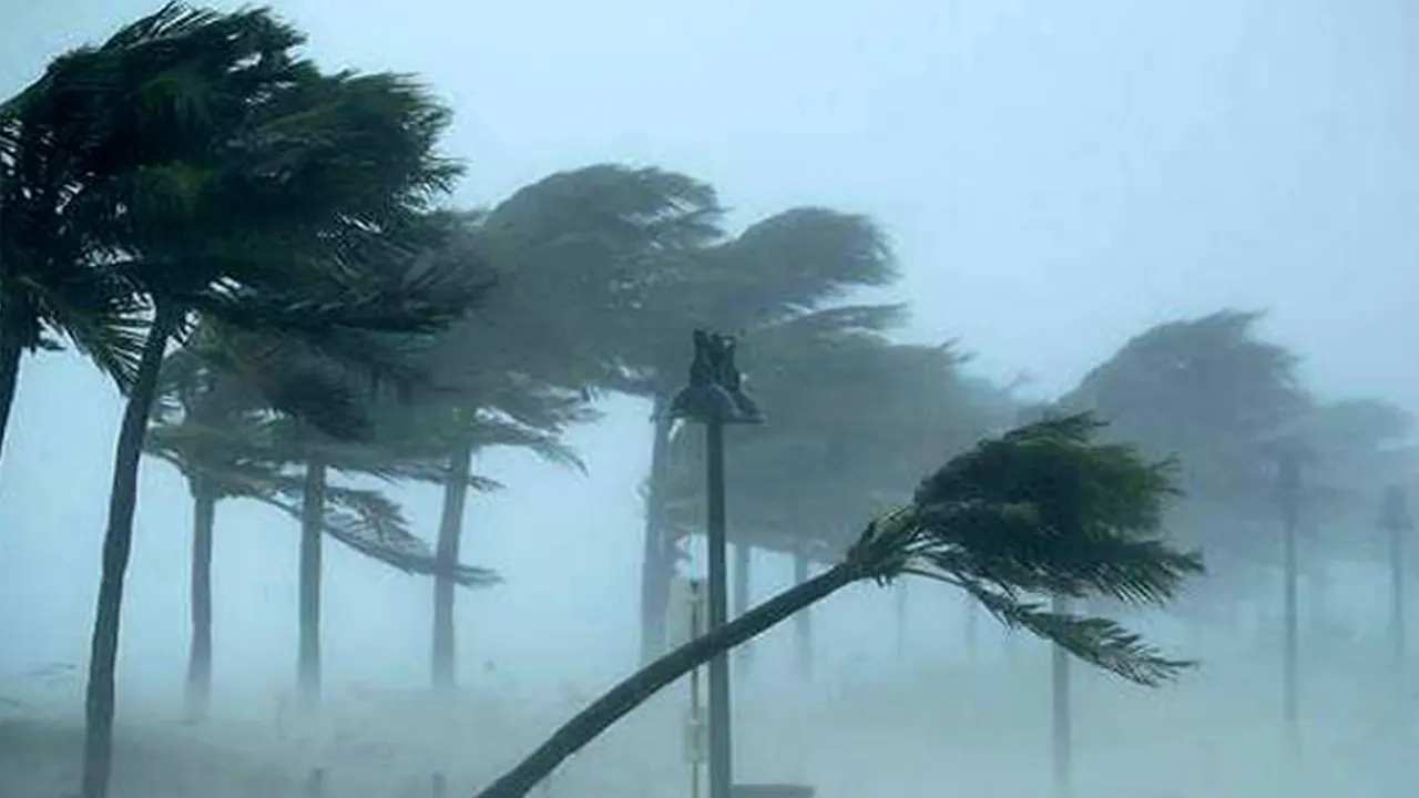 দুপুরের মধ্যে যেসব জেলায় হতে পারে ঝড়বৃষ্টি...