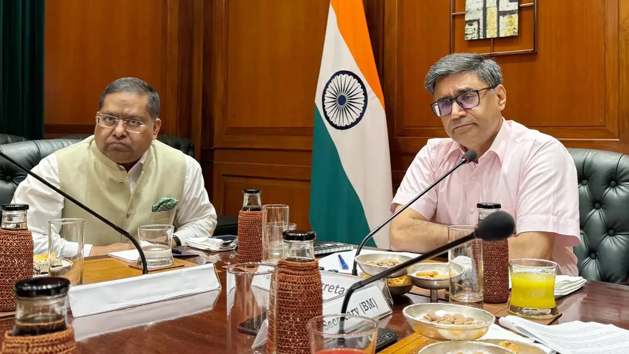 শেখ হাসিনার বিষয়ে দুই দেশকে কী করতে হবে, জানালেন ব...