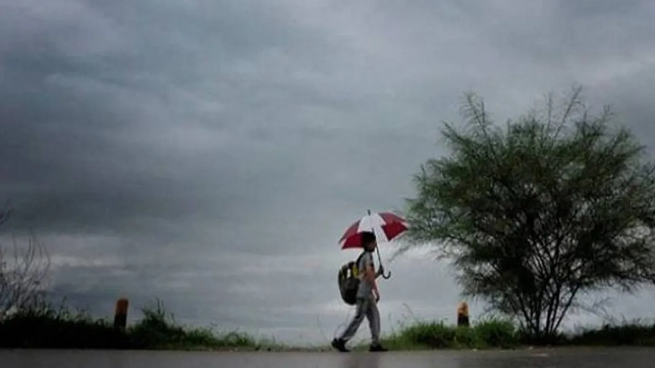 আগামী ৫ দিন আবহাওয়া কেমন থাকবে, জানাল অধিদপ্তর...