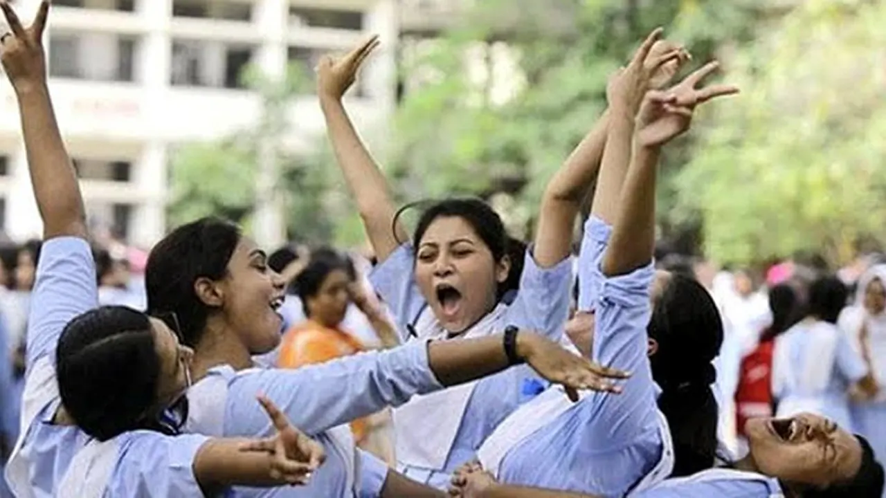 ৩৪৫ প্রতিষ্ঠানে সবাই পাস...