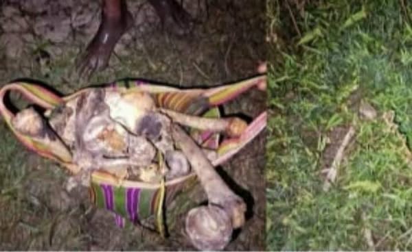 নড়াইল লোহাগড়ায় রহস্যময় বিল: কচুরিপানার মধ্য থে...